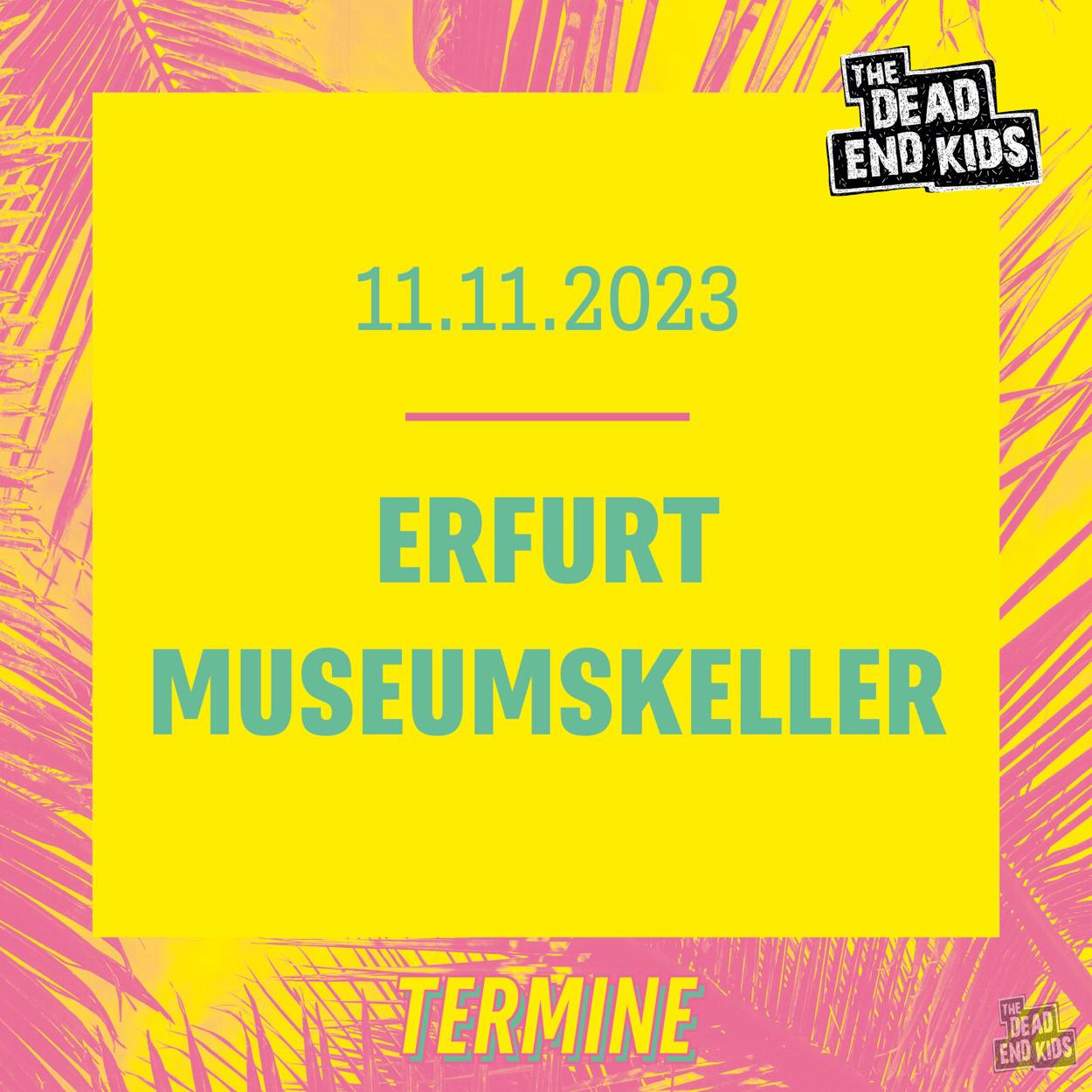 Read more about the article HEIß UND DRECKIG SHOW AM 11.11.2023